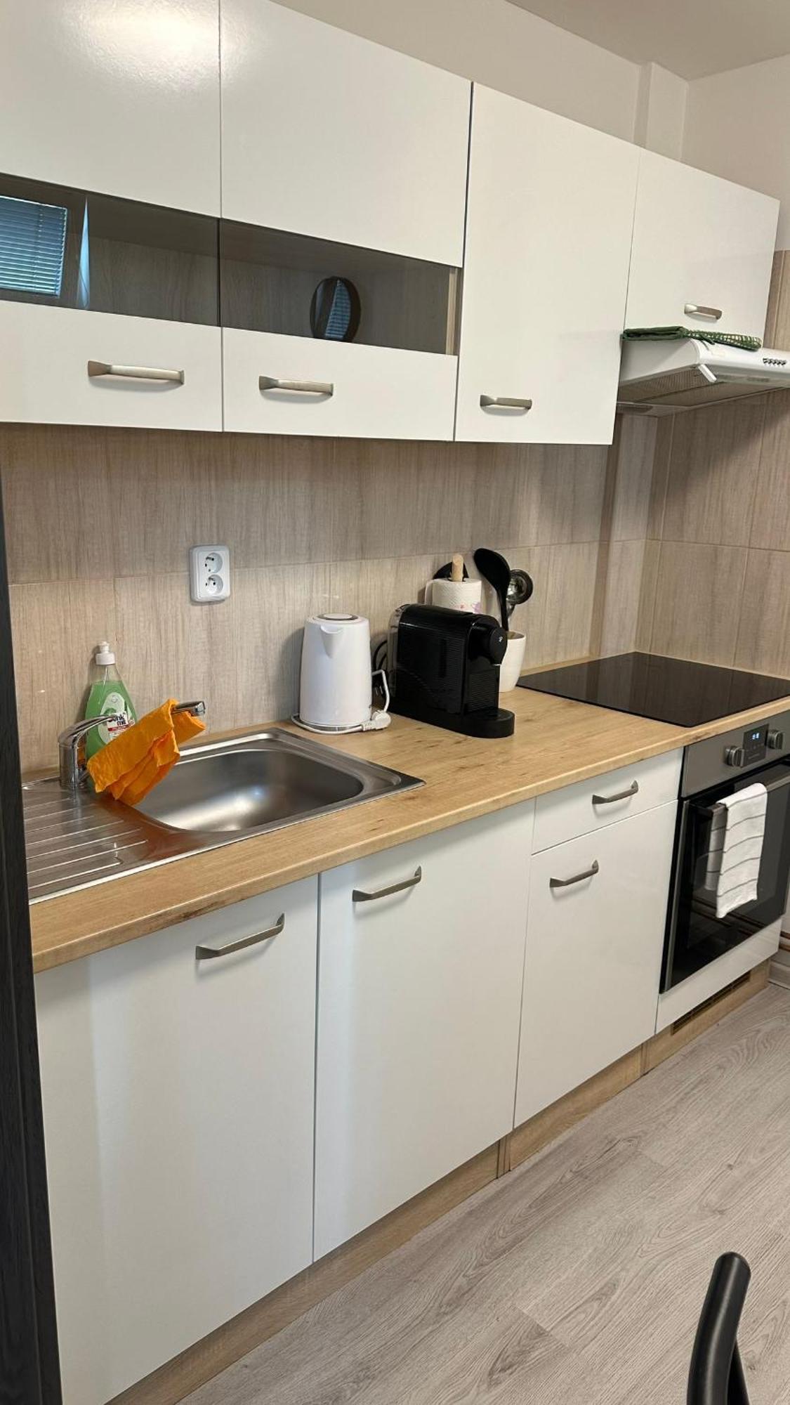 Apartmany Na Trojce Žatec Eksteriør billede